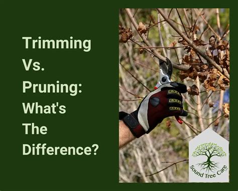 what does trimming mean.